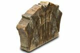 Polished Petrified Wood Bookends - Washington #307185-2